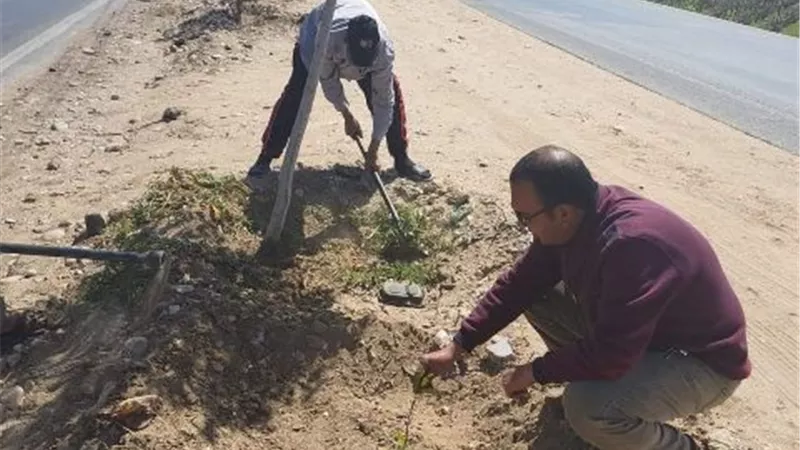 زراعة شتلات للزينة وأشجار مختلفة الأصناف بمركز سمالوط