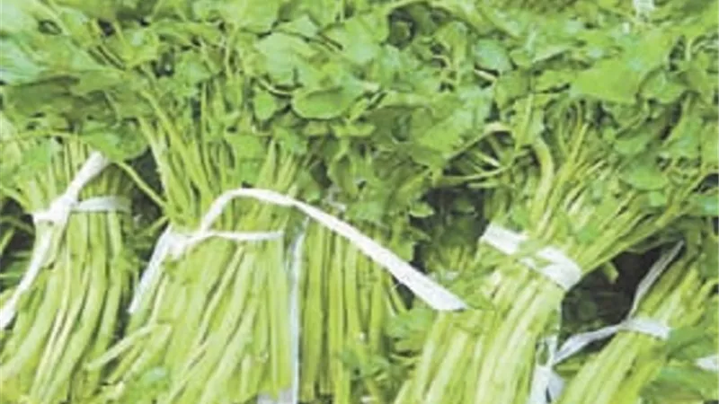 عودة 