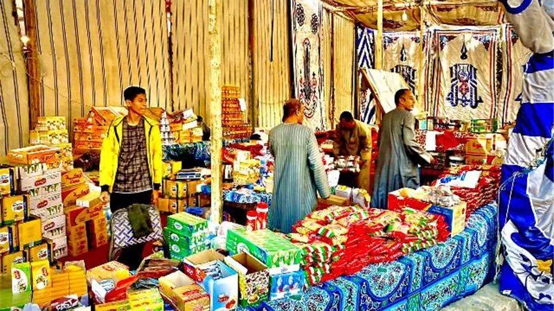 مستقبل وطن الأقصر يواصل تنظيم معارض بيع السلع باسعار مخفضة