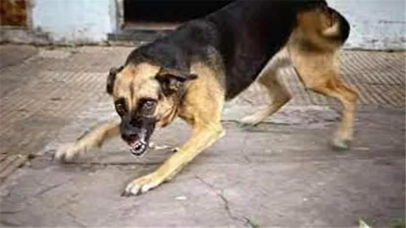 بــ 