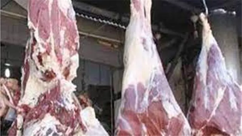 أماكن طرح أول شحنة لحوم تشادية في الأسواق.. فيديو