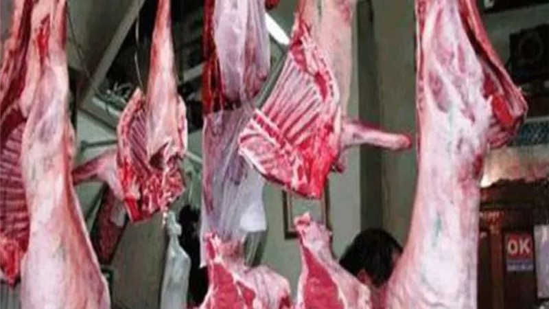 تفاصيل طرح اللحوم التشادية في الأسواق.. الكيلو بـ145 جنيها