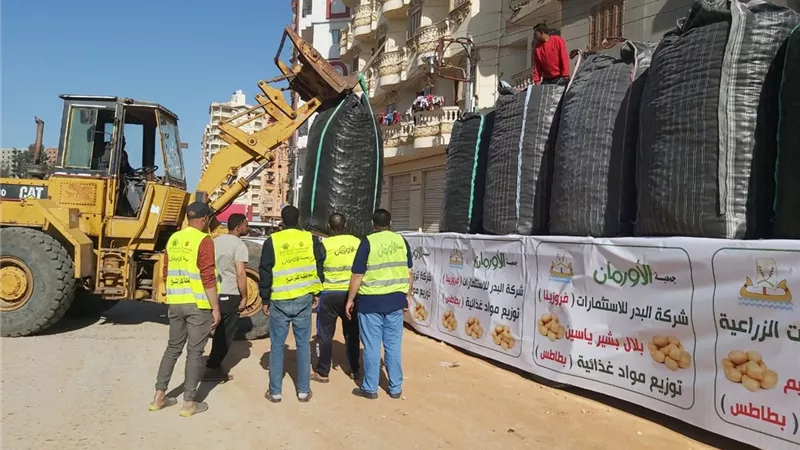 توزيع ٣٥ طن بطاطس مجانا من الاورمان للأسر الأولى بالرعاية بكفرالش