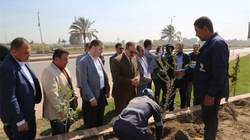 زراعة 40 ألف شجرة بمدن وقرى كفر الشيخ