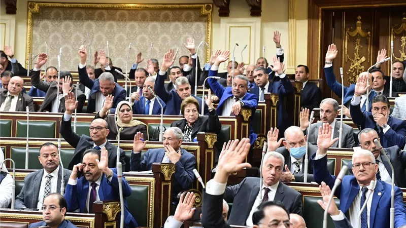 النواب يرفض طلب رفع الحصانة عن النائب عيد حماد