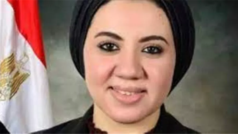 سؤال برلمانى بشأن الرقابة على عمل منظمات المجتمع المدنى