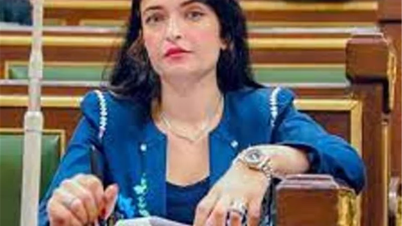 طلب إحاطة.. دور الاخصائيين النفسيين داخل المدارس.. غائب