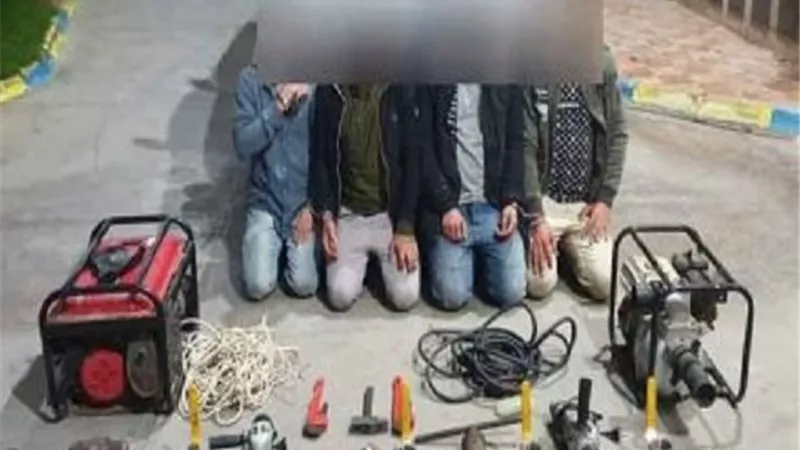 سقوط لص خطوط البترول بالدقهلية