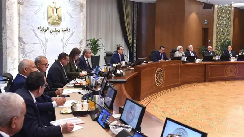 الحكومة تستعرض الموقف التنفيذي للمشروع القومي لتنمية الأسرة