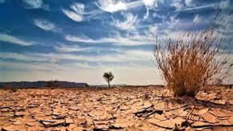 تقرير أممي يحذّر من 