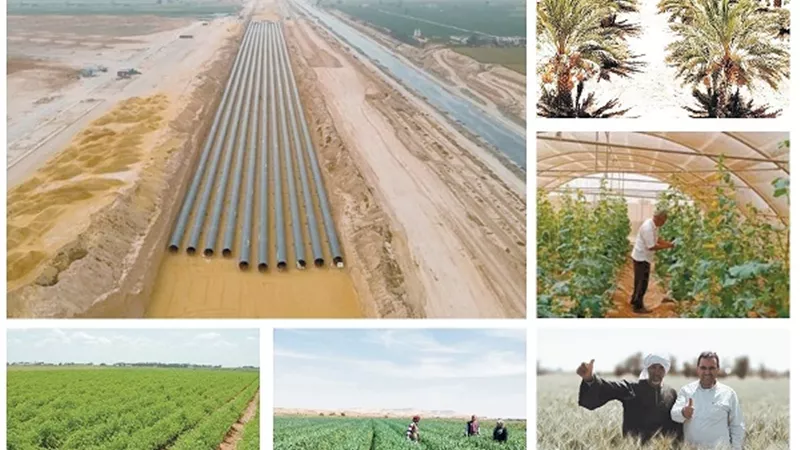 الدلتا الجديدة.. عبور إلي آفاق سعيدة