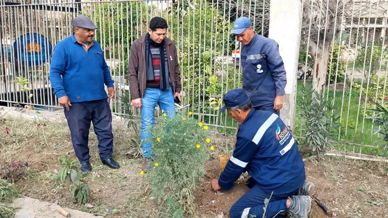 زراعة الأشجار بمدن وقرى 5 مراكز بمبادرة 100 مليون شجرة بكفر الشيخ