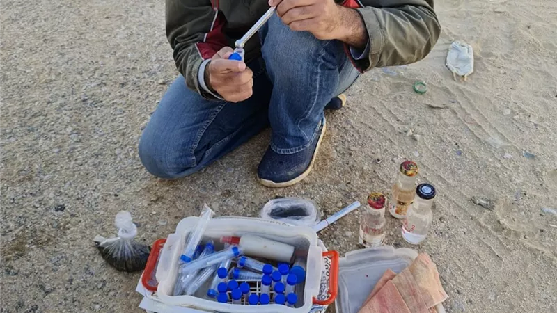 معهد علوم البحار بالسويس يقوم بعملية مسح بحرى لخليج السويس