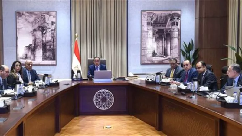 وزير قطاع الأعمال يستعرض موقف القابضة للصناعات الكيماوية