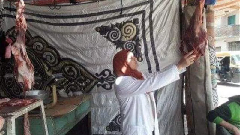 تحرير٢٧محضر مخالفة وضبط ٣٦٦كجم لحوم وأسماك مخالفة بالشرقية