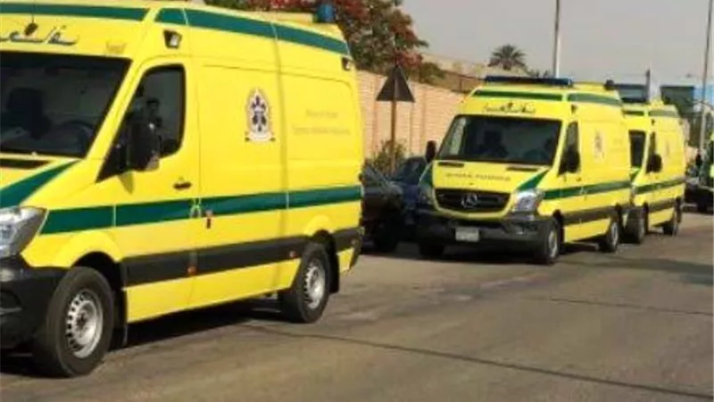 إصابة ١١شخصا فى تصادم ميكروباص بعمود اناره ببنى سويف