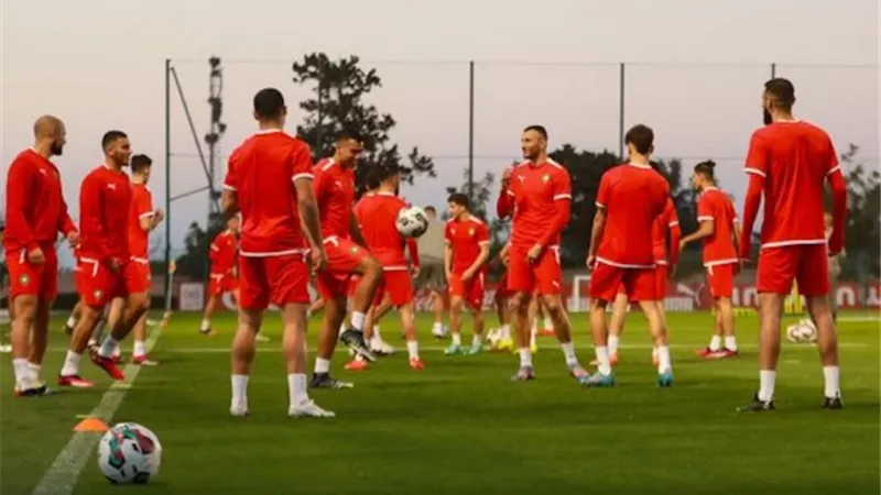 المغربى علودي يعلق على مواجهة البرازيل المرتقبة