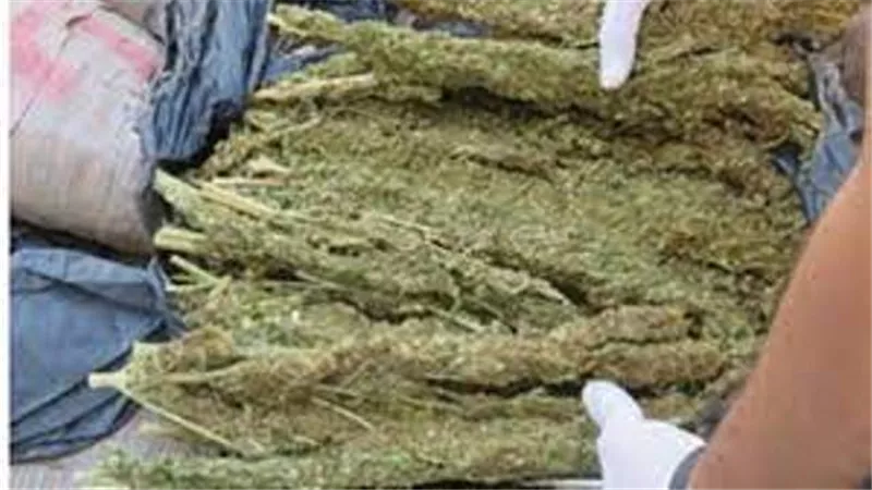 ضبط 4 أشخاص بـ حشيش وهيدرو في القاهرة