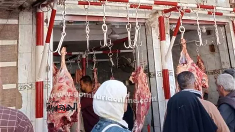 تحرير 12 محضر تموين متنوع في حملة مكبرة بحي غرب سوهاج..صور