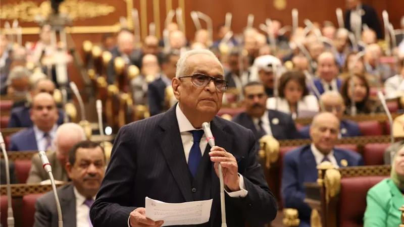 أبو شقة: الدستور والقانون ينصان على تمكين ذوى الإعاقة