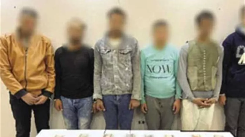 القبض على المتهمين بسرقة مزرعة دواجن بالدقهلية