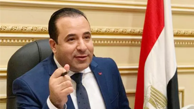 بدوى: دعم السيسى لمنظومة القضاء يعزز مسيرة العدالة الناجزة