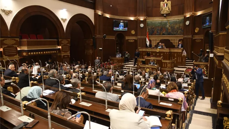 ممثل وزارة التضامن أمام الشيوخ: 10،7 مليون معاق في مصر