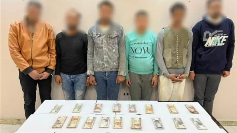 قيدوا المهندس بالحبال .. عصابة السبعة سرقوا الدواجن من مزرعة الدق