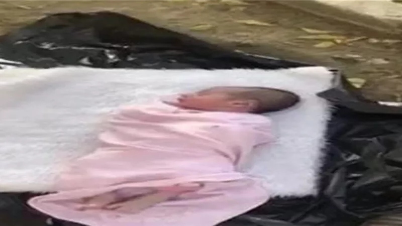 العثور على جثة طفلة حديثة الولادة داخل أحد صناديق القمامة بالسلام