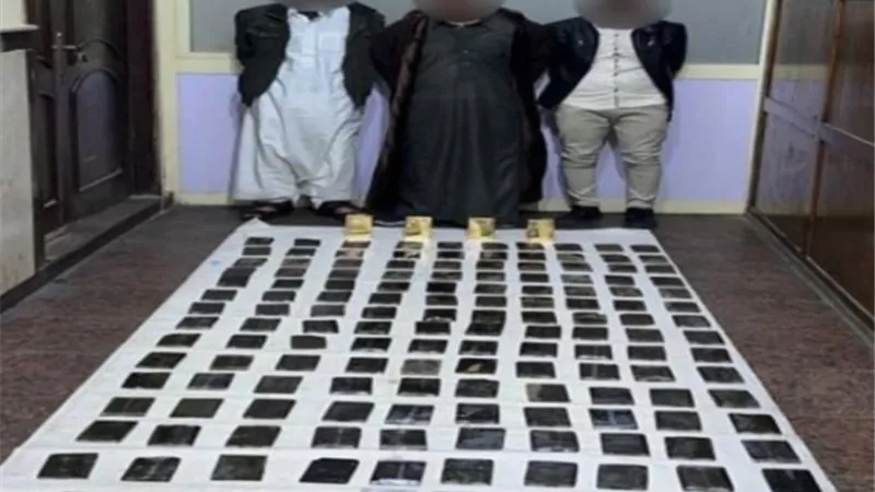 ضبط عناصر إجرامية بـ170 طربة حشيش و10 كيلو هيدرو
