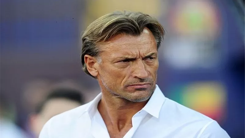 تقارير: هيرفي رينارد يقرر فسخ عقده مع المنتخب السعودي