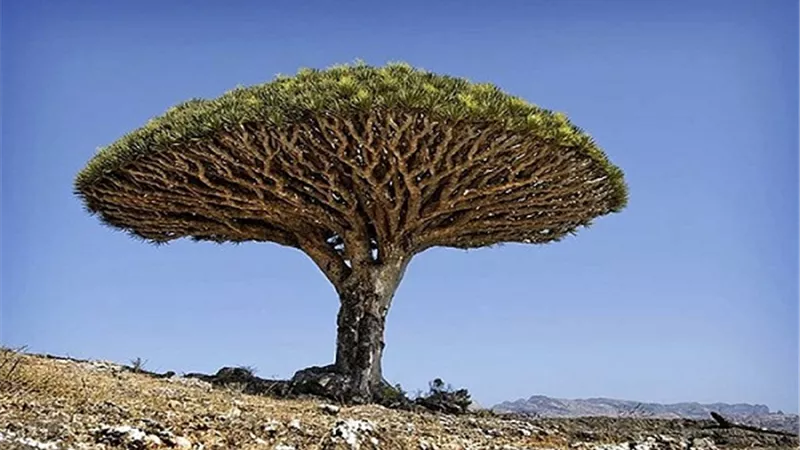 من هم اصحاب الايكة_وكيف كان هلاكهم