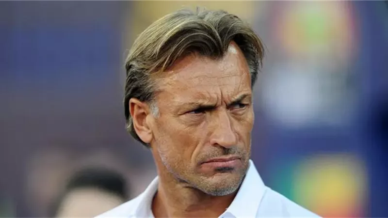 رسميا .. هيرفى رينارد مدربا لمنتخب فرنسا للسيدات حتى 2024