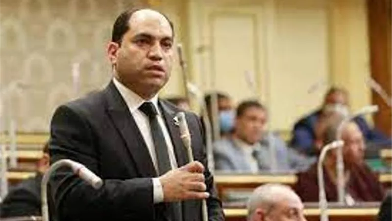 برلمانى: انضمام رموز فكرية للجان الحوار الوطنى إثراء للمناقشات