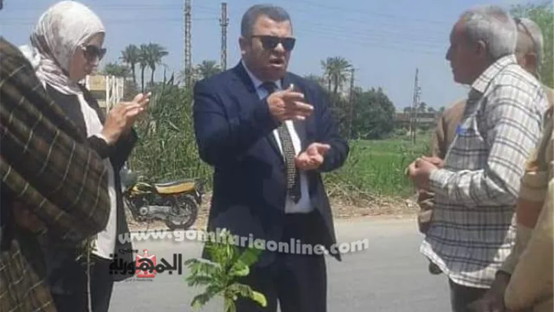رئيس مدينة بني سويف يتابع أعمال التشجير والنظافة