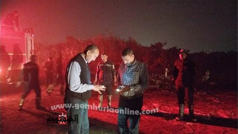 سكرتير بنى سويف يتابع إطفاء حريق بالغابة الشجرية ببياض العرب