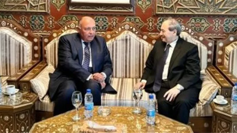 وزير خارجية سوريا يصل القاهرة للقاء سامح شكري