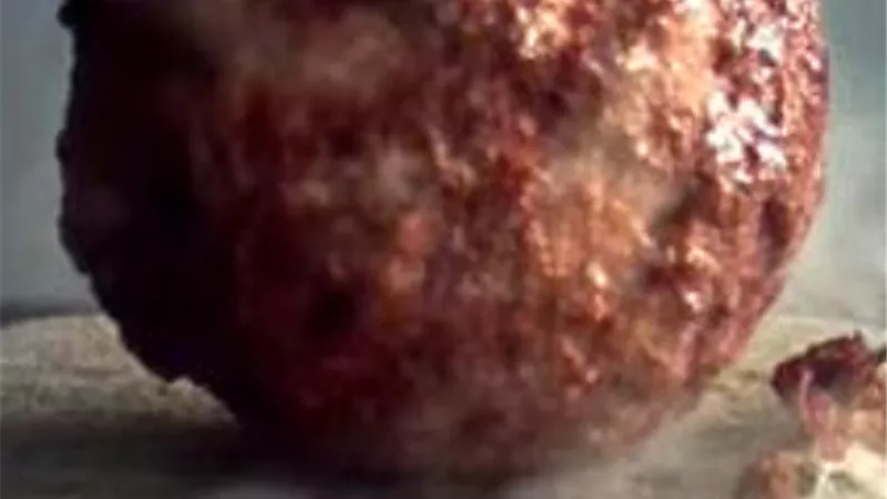 صناعة كرة لحم من بروتين حيوان انقرض منذ 5000 عام .. فيديو