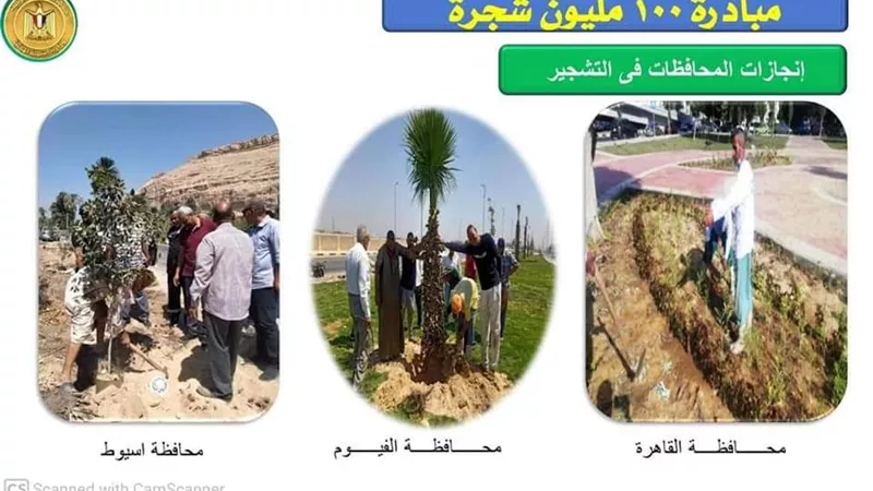 توريد 4,5 مليون شجرة للمحافظات بتكلفة 128,4 مليون جنيه