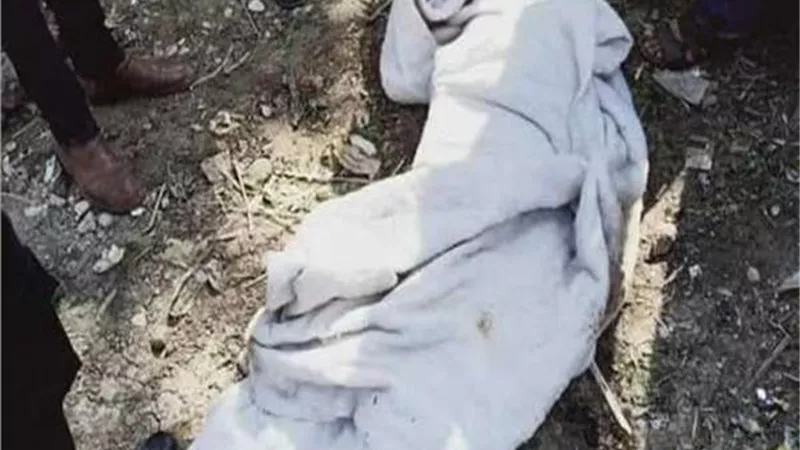 جهود مكثفة لتحديد هوية الجثة المتحللة بالشرقية