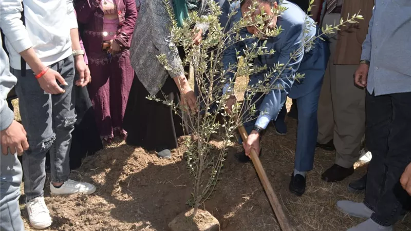 عبد المالك يشارك في المبادرة الرئاسية 