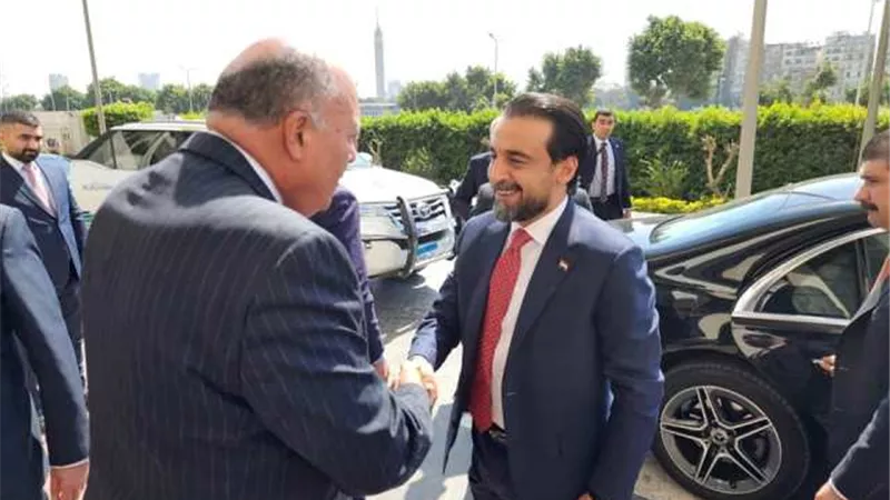 وزير الخارجية يستقبل رئيس مجلس النواب العراقي.. صور