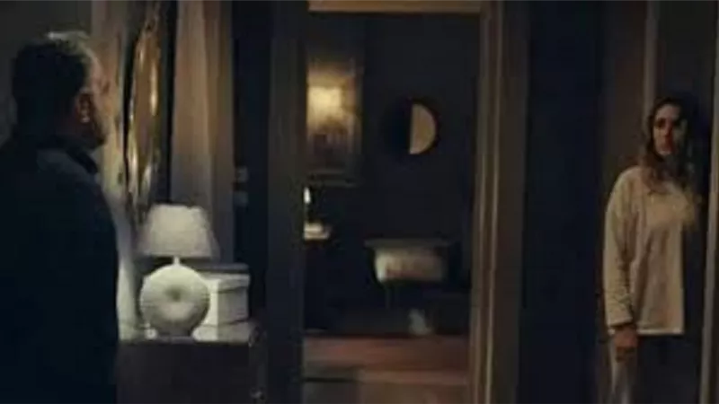 طلاق محمد شاهين وامينة خليل