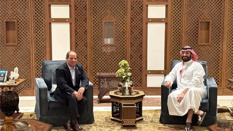 الرئيس السيسى: سعدت بلقاء شقيقي سمو الأمير محمد بن سلمان