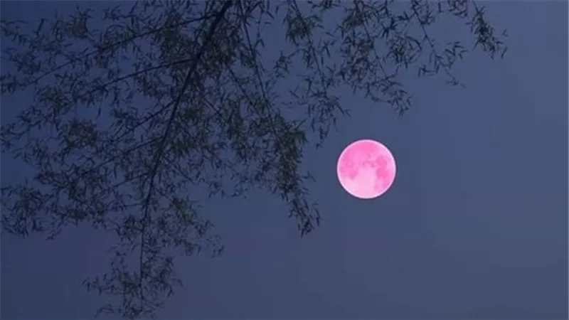 البحوث الفلكية : بدر رمضان 