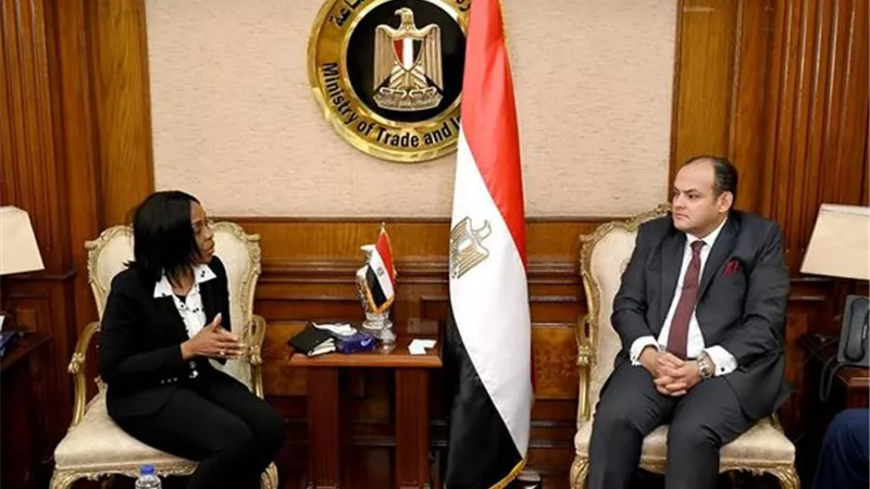 وزير الصناعة يبحث استعدادات استضافة معرض التجارة البينية الأفريقي