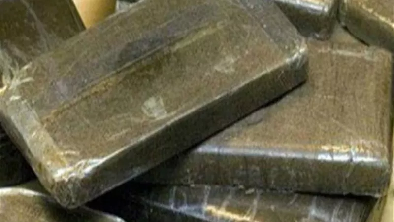 القبض على 2 بحوزتهما بـ2.5 مليون جنية مخدر الحشيش فى سوهاج