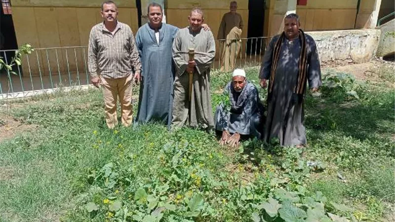 محافظ أسيوط: استمرار تنفيذ أعمال تشجير وزراعة شتلات بمركز صدفا