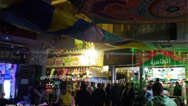 محافظ الدقهلية يتابع ترشيد الكهرباء