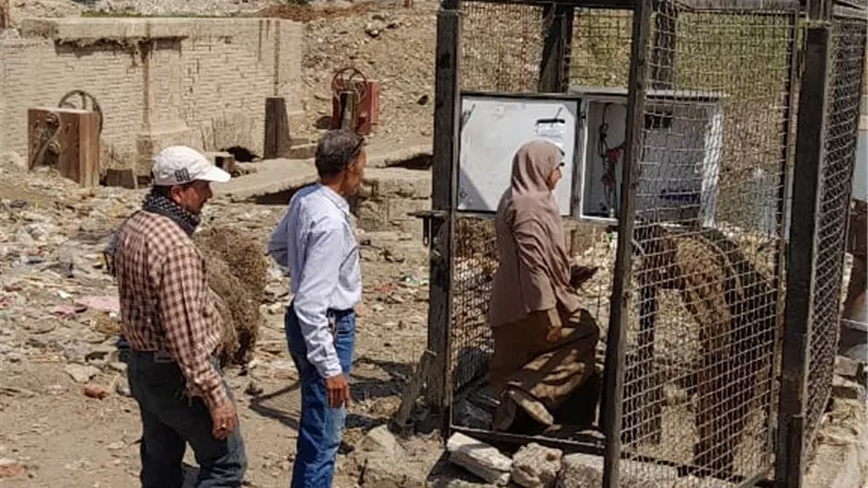 محافظ أسيوط يؤكد على استمرار تنفيذ أعمال التطهير والتبطين للترع